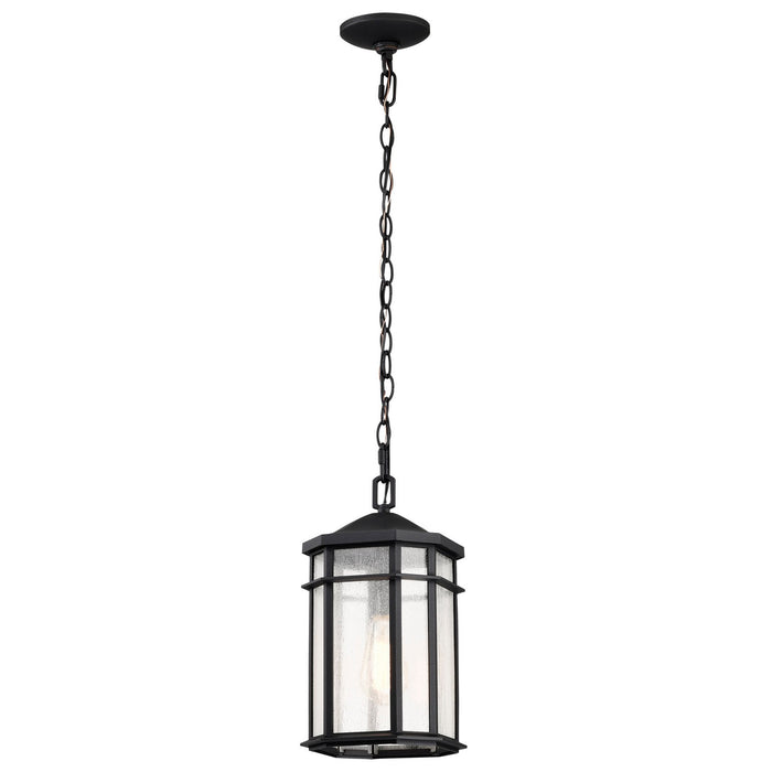 Nuvo Lighting 60-5759 One Light Outdoor Hanging Lantern, Matte Black