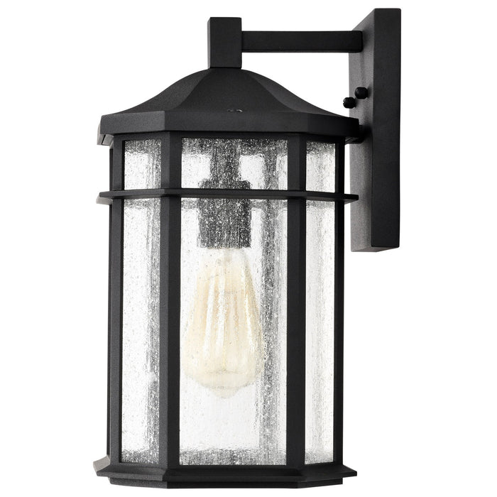 Nuvo Lighting 60-5760 One Light Outdoor Wall Lantern, Matte Black