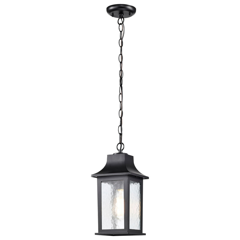 Nuvo Lighting 60-5958 One Light Outdoor Hanging Lantern, Matte Black