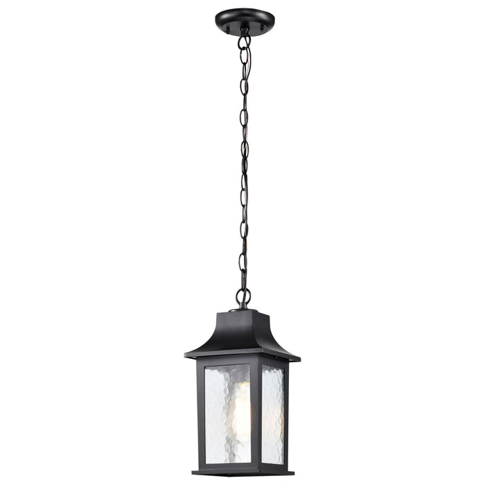 Nuvo Lighting 60-5958 One Light Outdoor Hanging Lantern, Matte Black