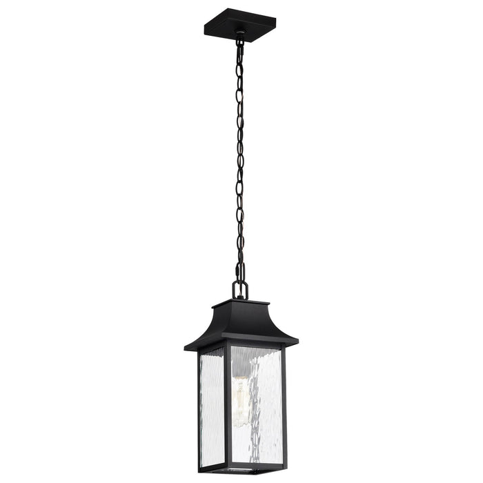 Nuvo Lighting 60-5996 One Light Outdoor Hanging Lantern, Matte Black