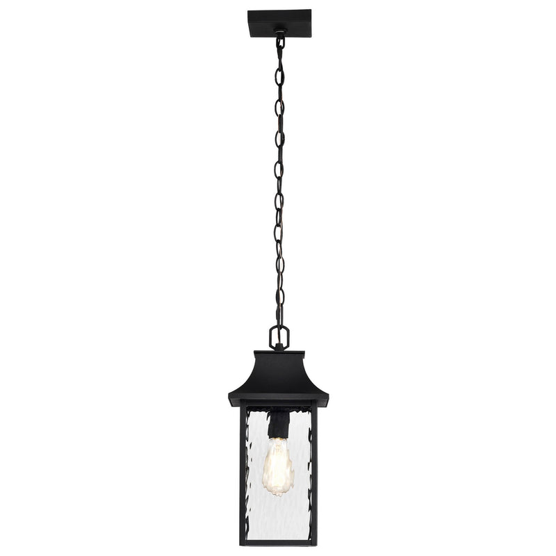 Nuvo Lighting 60-5996 One Light Outdoor Hanging Lantern, Matte Black