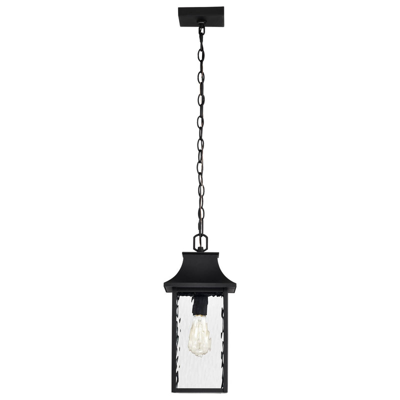 Nuvo Lighting 60-5996 One Light Outdoor Hanging Lantern, Matte Black