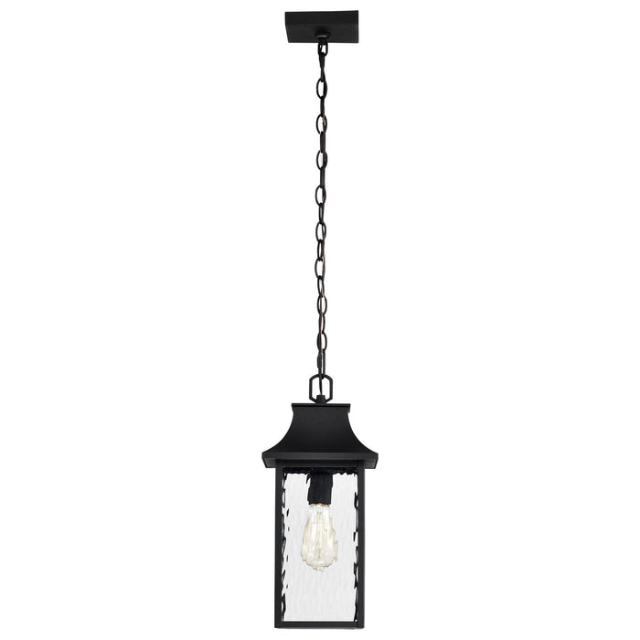 Nuvo Lighting 60-5996 One Light Outdoor Hanging Lantern, Matte Black
