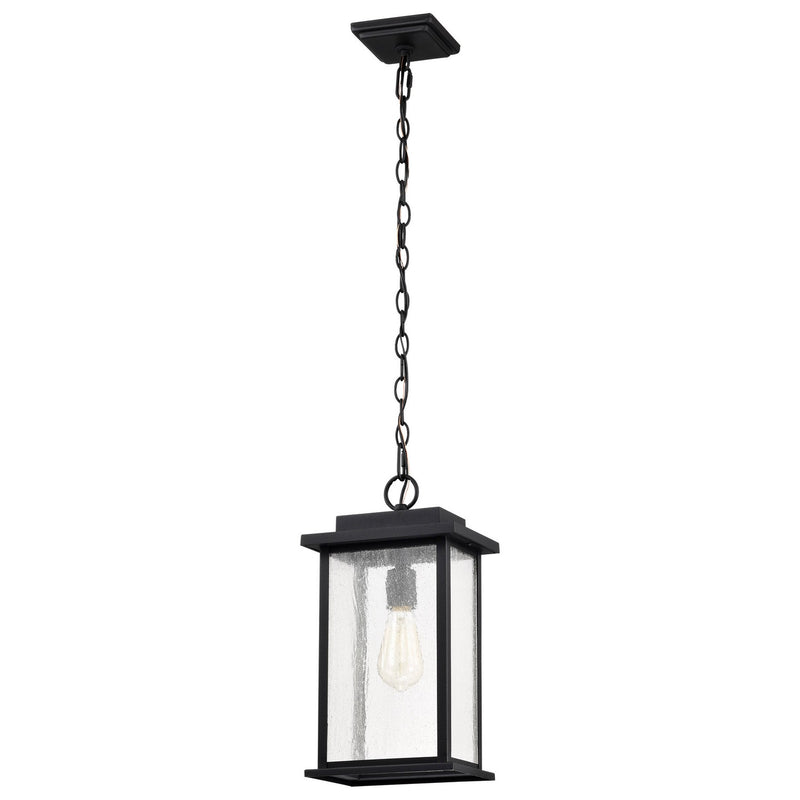 Nuvo Lighting 60-7377 One Light Outdoor Hanging Lantern, Matte Black