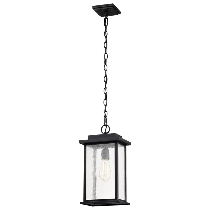 Nuvo Lighting 60-7377 One Light Outdoor Hanging Lantern, Matte Black