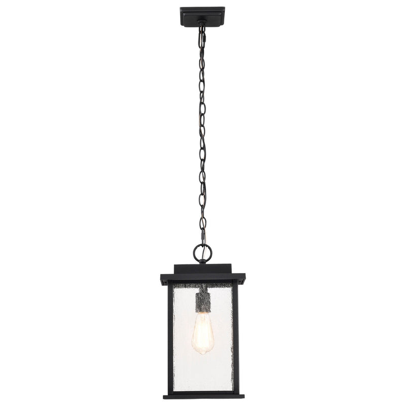 Nuvo Lighting 60-7377 One Light Outdoor Hanging Lantern, Matte Black