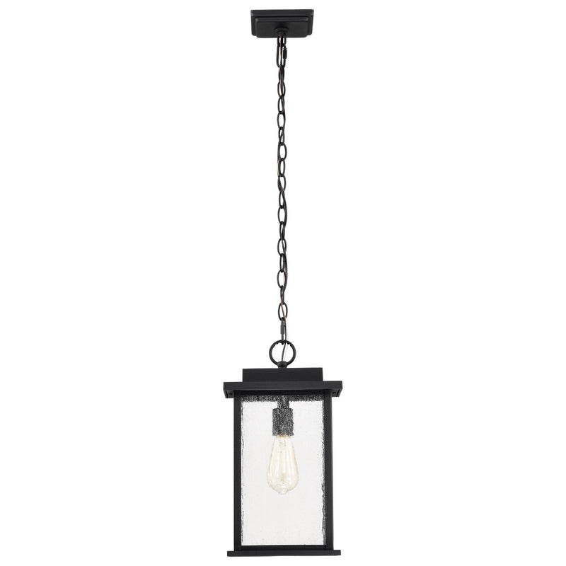 Nuvo Lighting 60-7377 One Light Outdoor Hanging Lantern, Matte Black