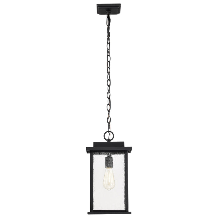 Nuvo Lighting 60-7377 One Light Outdoor Hanging Lantern, Matte Black