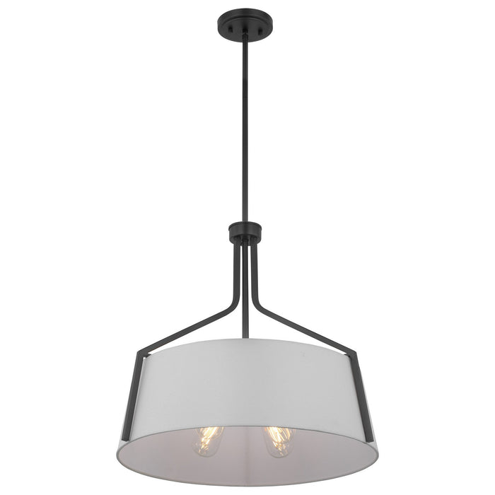 Nuvo Lighting 60-7669 Four Light Pendant, Matte Black