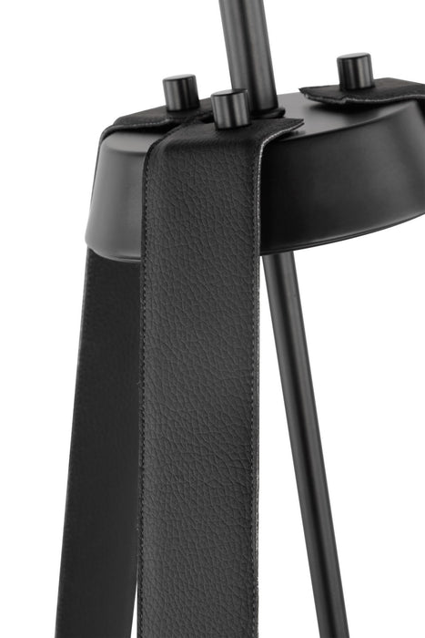 Nuvo Lighting 60-7696 Three Light Pendant, Black