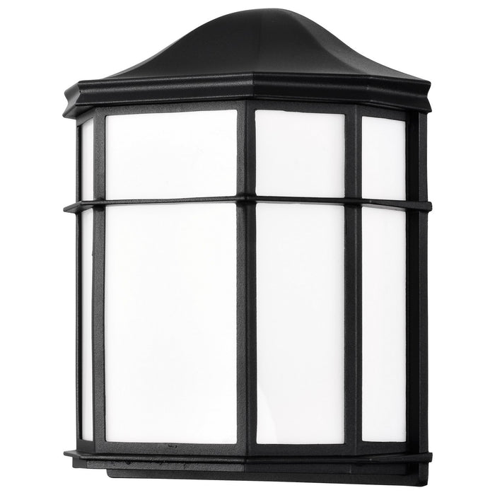 Nuvo Lighting 62-1397 LED Cage Lantern Fixture, Black