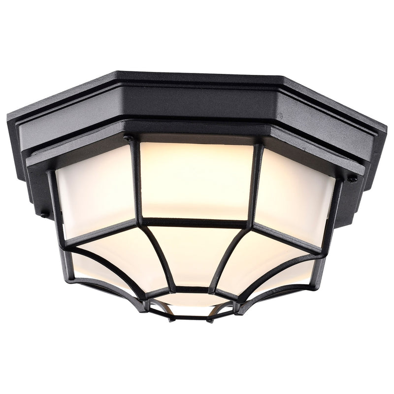 Nuvo Lighting 62-1400 LED Spider Cage Fixture, Black