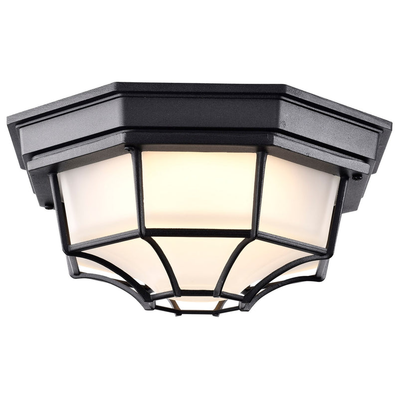 Nuvo Lighting 62-1400 LED Spider Cage Fixture, Black