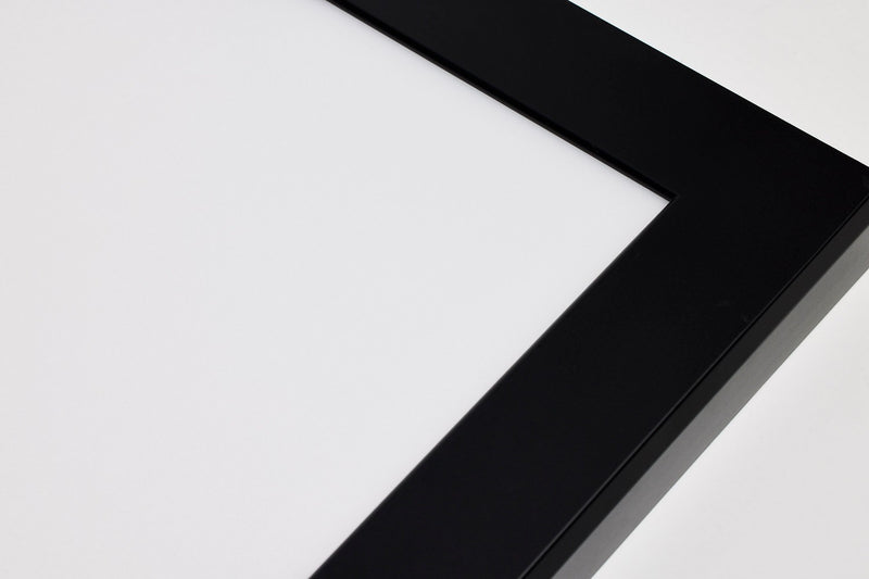 Nuvo Lighting 62-1784 LED Surface Mount, Black