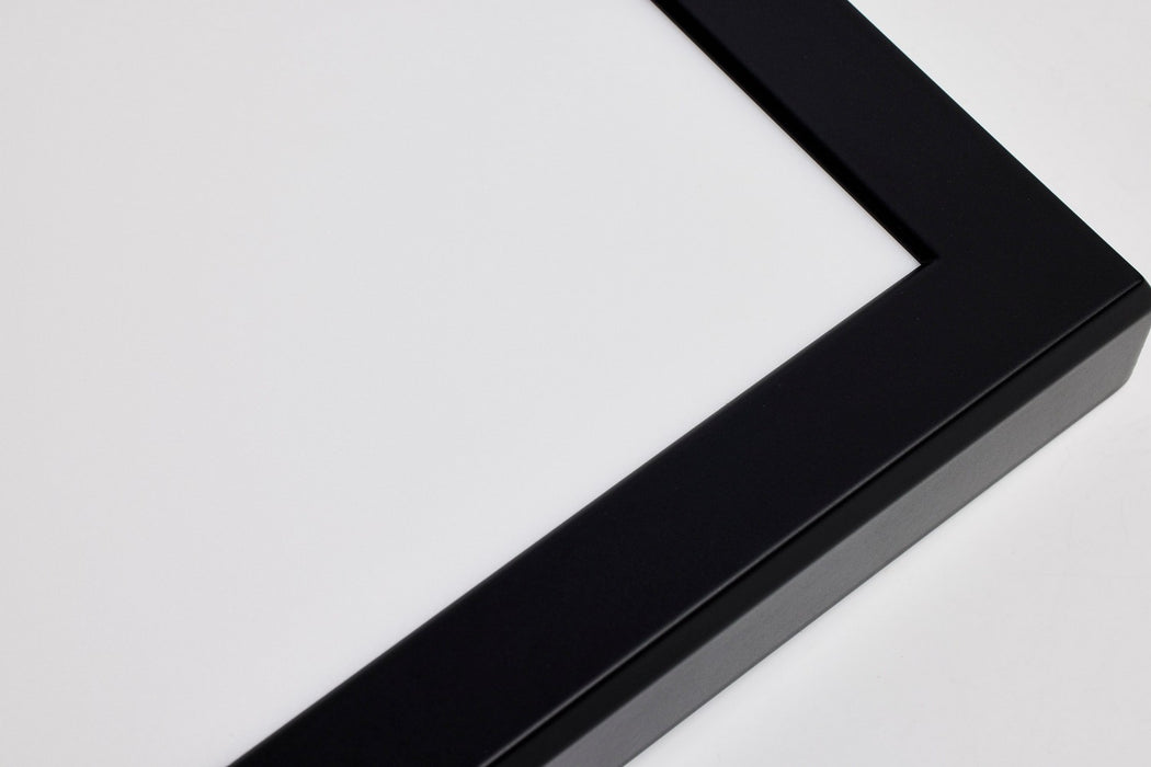 Nuvo Lighting 62-1789 LED Surface Mount, Black