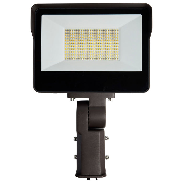 Nuvo Lighting 65-543 LED Flood Light, Bronze