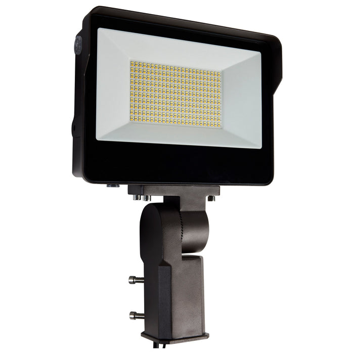 Nuvo Lighting 65-543 LED Flood Light, Bronze