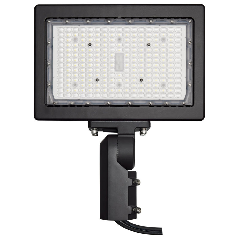 Nuvo Lighting 65-619R1 LED Flood Light, Bronze