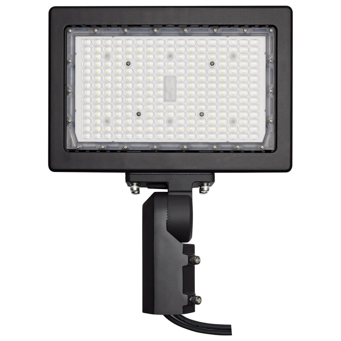 Nuvo Lighting 65-619R1 LED Flood Light, Bronze