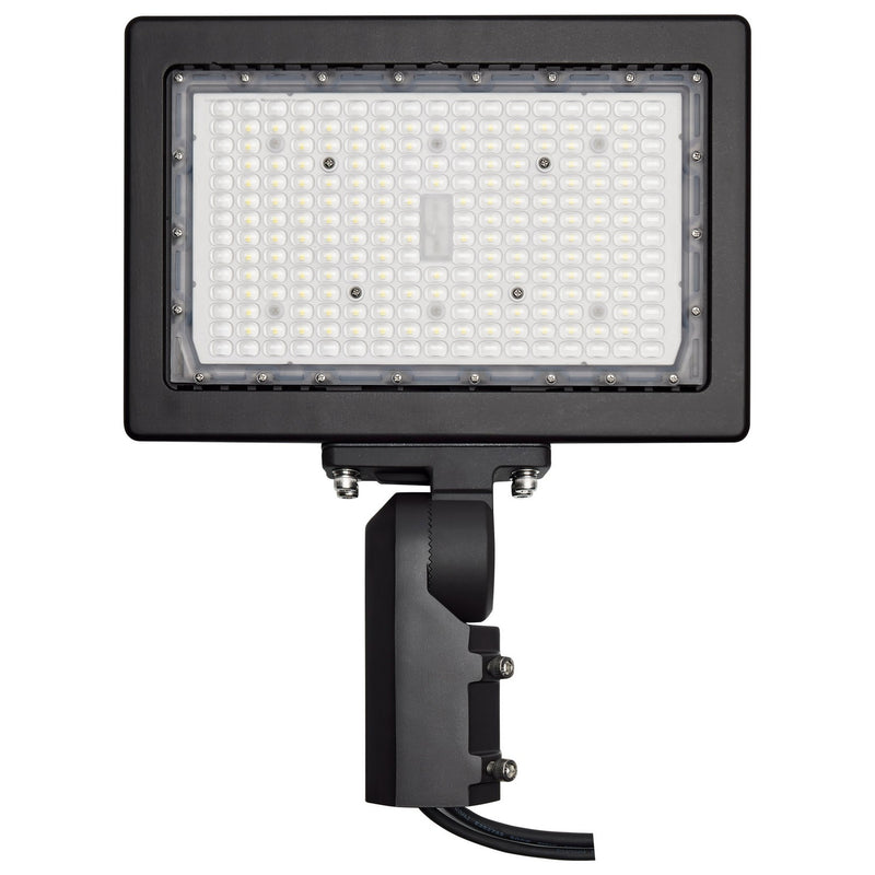 Nuvo Lighting 65-620R1 LED Flood Light, Bronze