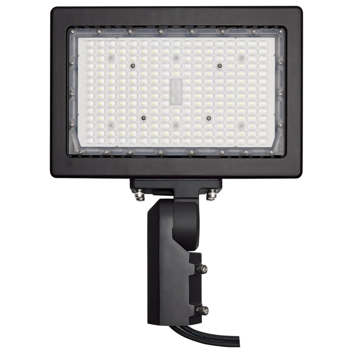 Nuvo Lighting 65-620R1 LED Flood Light, Bronze