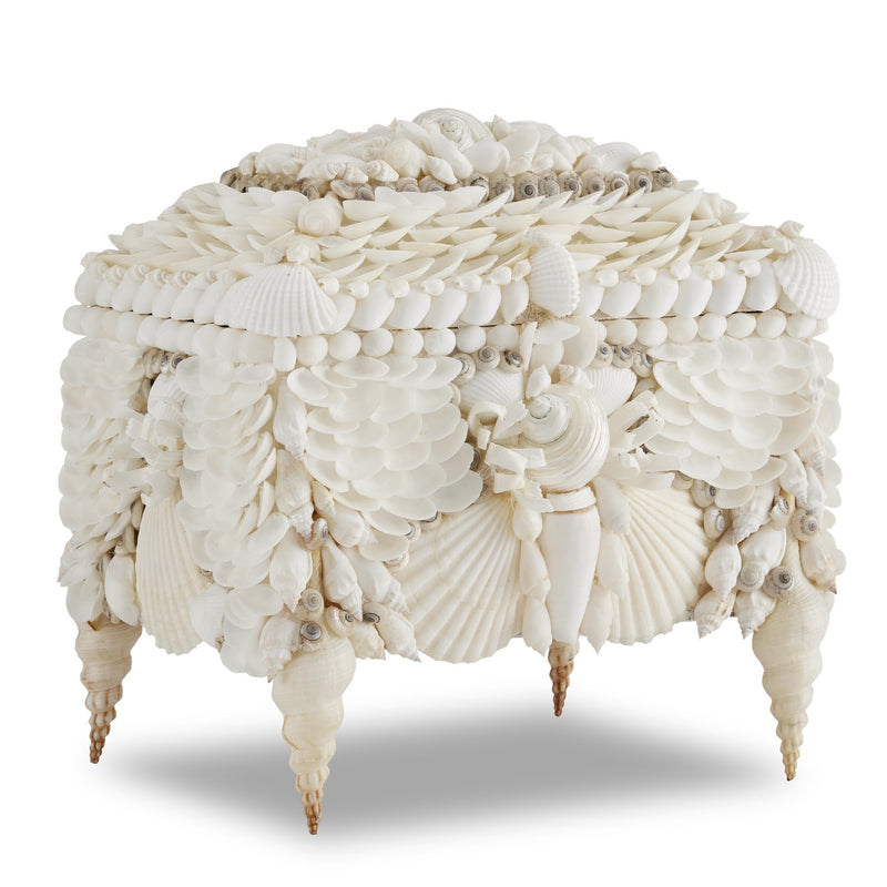 Currey and Company 1200-0612 Jewelry Box, Natural