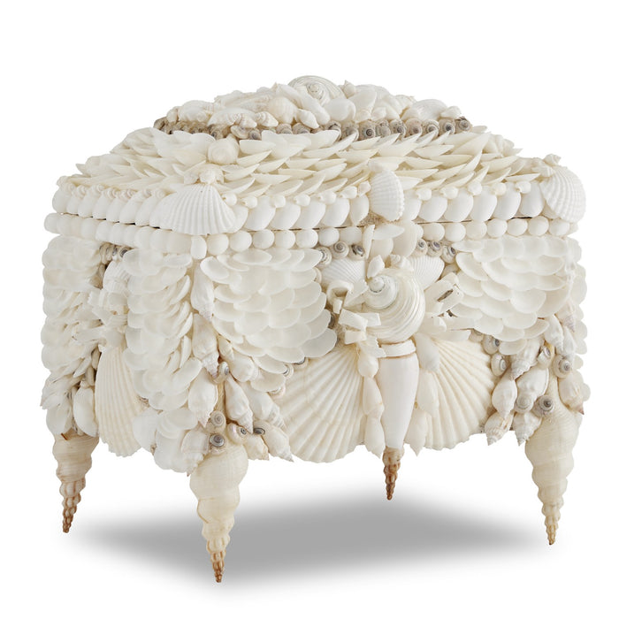 Currey and Company 1200-0612 Jewelry Box, Natural