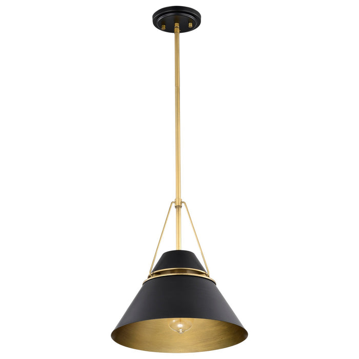 Nuvo Lighting 60-7766 One Light Pendant, Matte Black