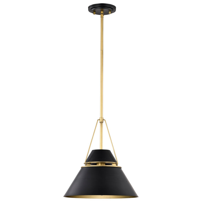 Nuvo Lighting 60-7766 One Light Pendant, Matte Black