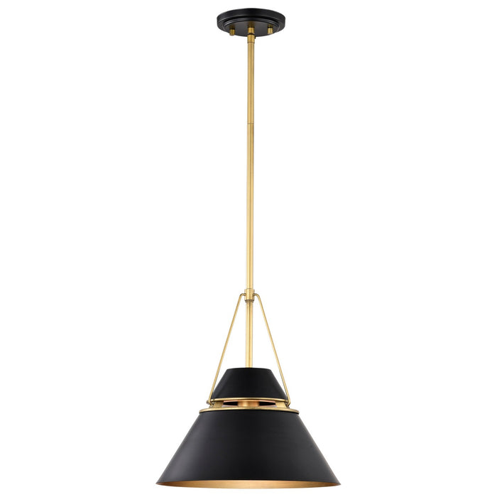 Nuvo Lighting 60-7766 One Light Pendant, Matte Black