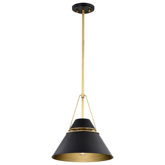 Nuvo Lighting 60-7766 One Light Pendant, Matte Black