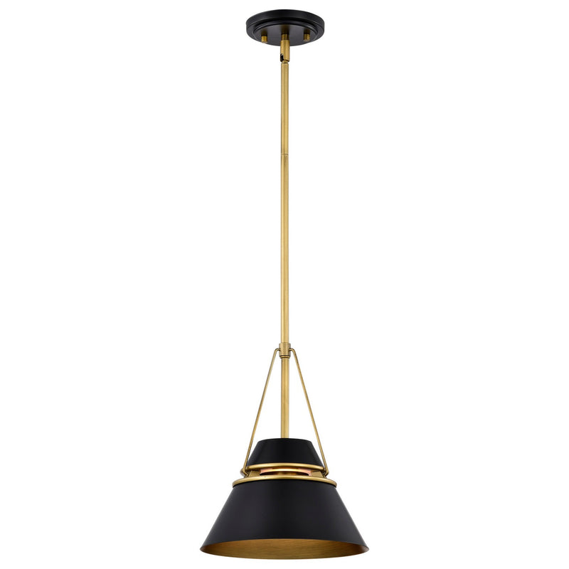 Nuvo Lighting 60-7767 One Light Pendant, Matte Black