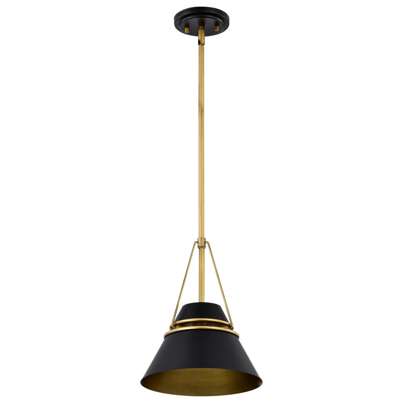 Nuvo Lighting 60-7767 One Light Pendant, Matte Black