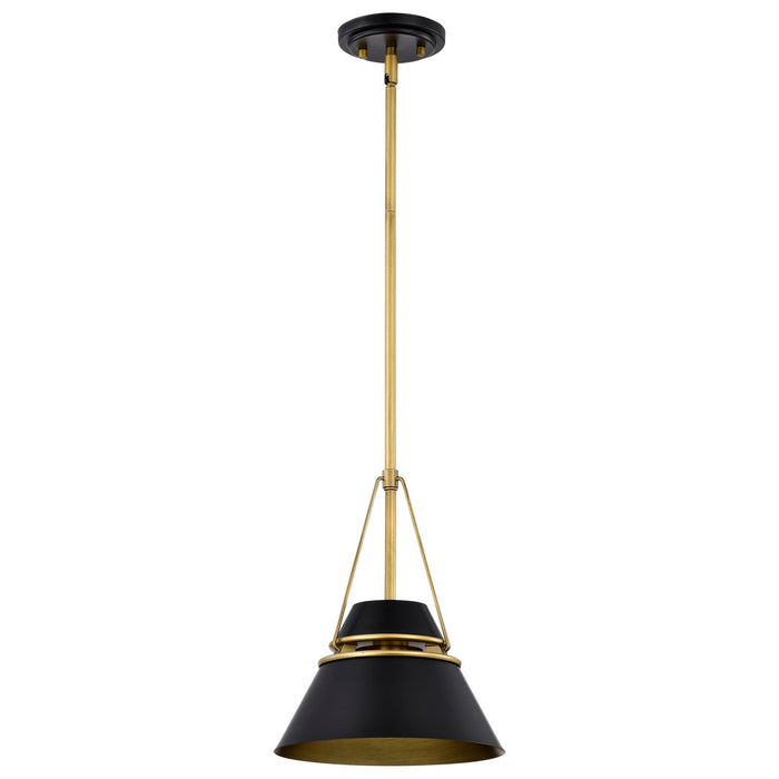 Nuvo Lighting 60-7767 One Light Pendant, Matte Black