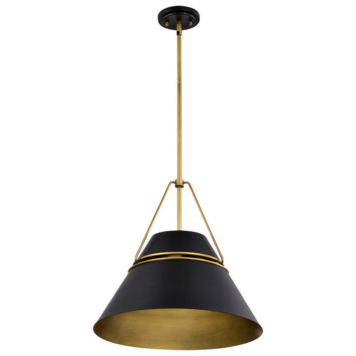 Nuvo Lighting 60-7768 Three Light Pendant, Matte Black