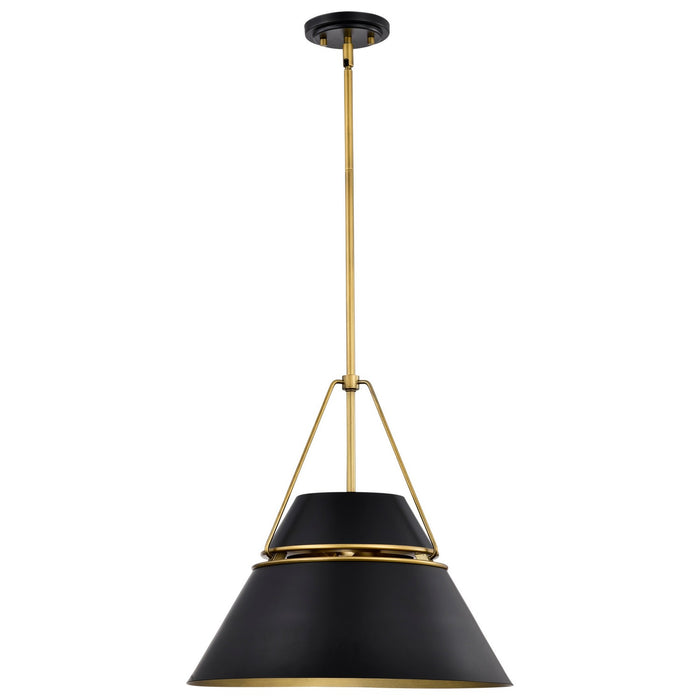 Nuvo Lighting 60-7768 Three Light Pendant, Matte Black