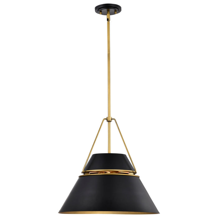 Nuvo Lighting 60-7768 Three Light Pendant, Matte Black