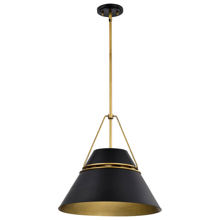 Nuvo Lighting 60-7768 Three Light Pendant, Matte Black