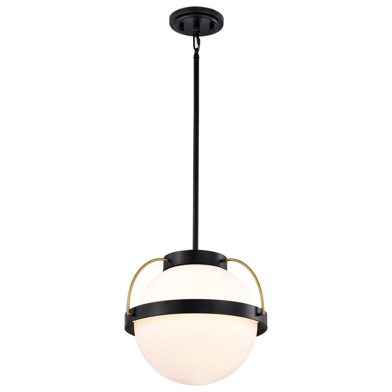 Nuvo Lighting 60-7775 One Light Pendant, Matte Black