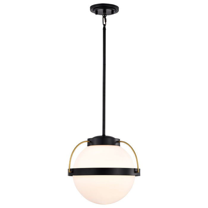 Nuvo Lighting 60-7775 One Light Pendant, Matte Black