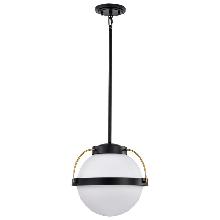 Nuvo Lighting 60-7775 One Light Pendant, Matte Black