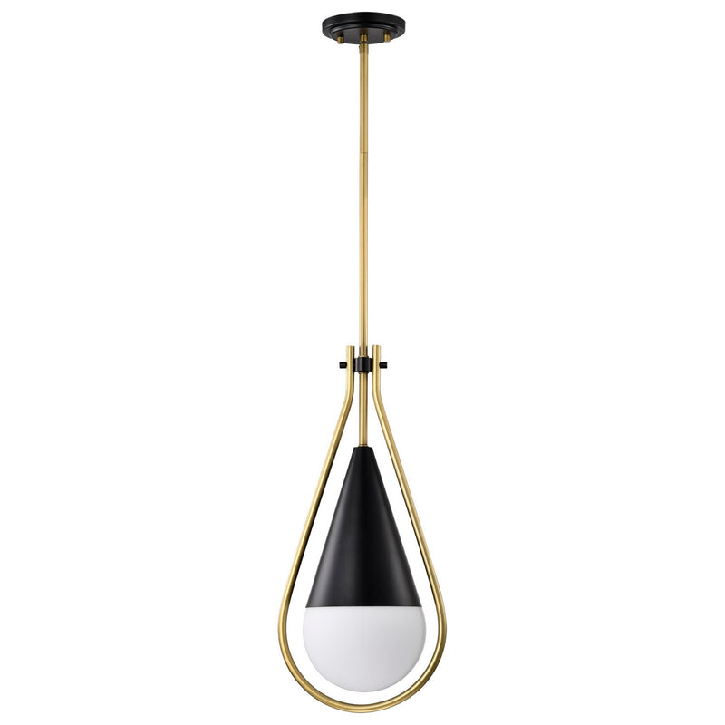 Nuvo Lighting 60-7902 One Light Pendant, Matte Black