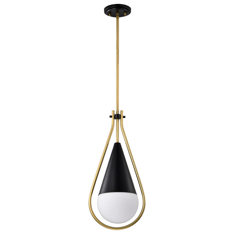 Nuvo Lighting 60-7902 One Light Pendant, Matte Black