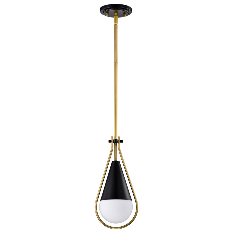 Nuvo Lighting 60-7903 One Light Pendant, Matte Black
