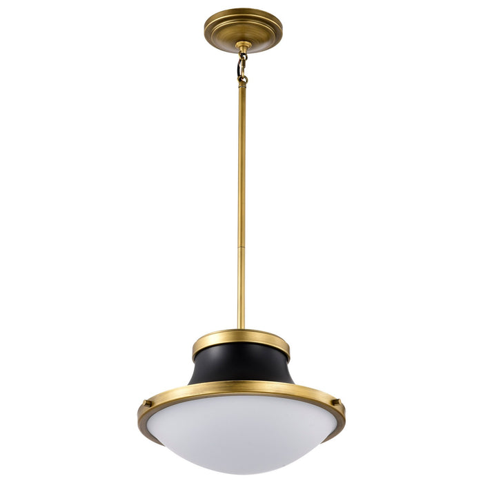 Nuvo Lighting 60-7907 One Light Pendant, Matte Black
