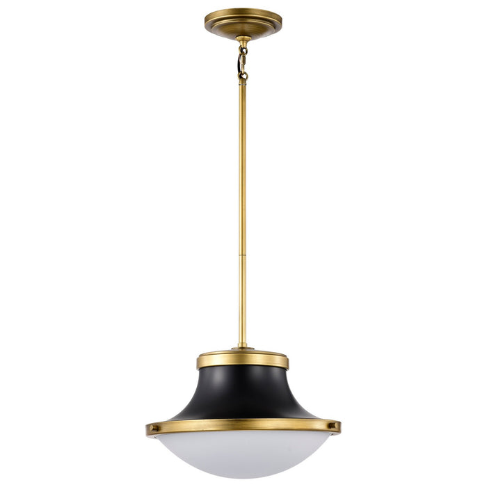 Nuvo Lighting 60-7907 One Light Pendant, Matte Black