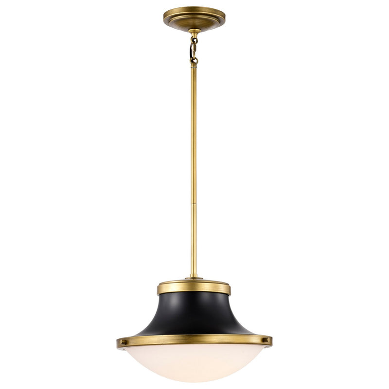 Nuvo Lighting 60-7907 One Light Pendant, Matte Black