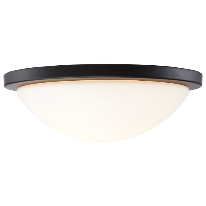 Nuvo Lighting 62-1943 LED Flush Mount, Matte Black