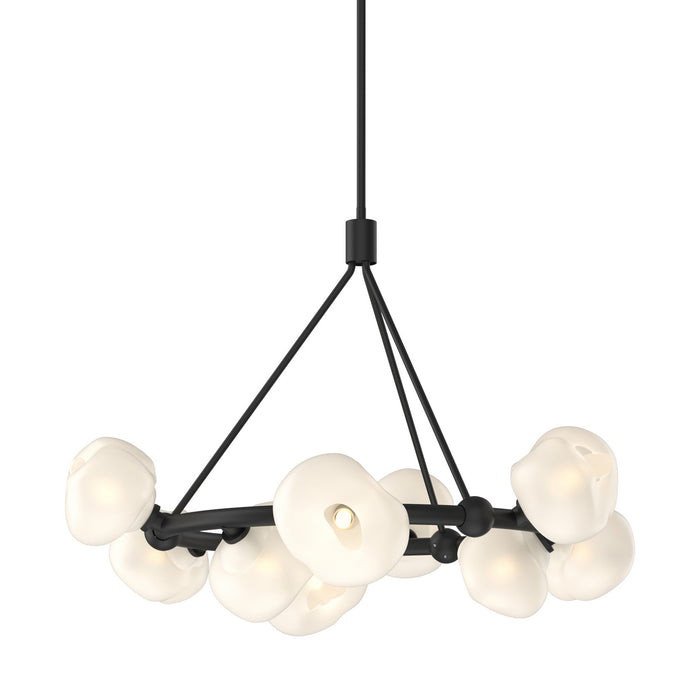 Hubbardton Forge 131069-SKT-MULT-10-FD0710 Nine Light Pendant, Black